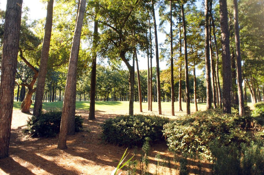 Pawleys Plantation Golf & Country Club Hotell Pawleys Island Exteriör bild